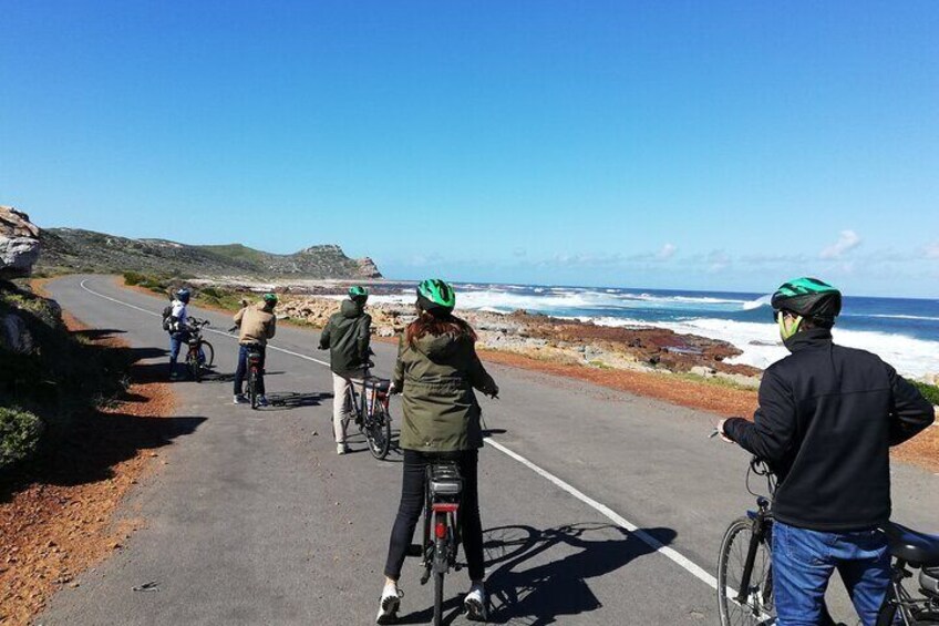 Cape Peninsula Cycle and Shuttle Combo Private Tour