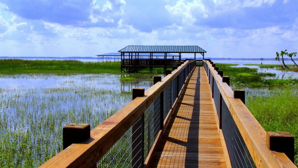 Boardwalk over the water in the Everglades in Orlando.