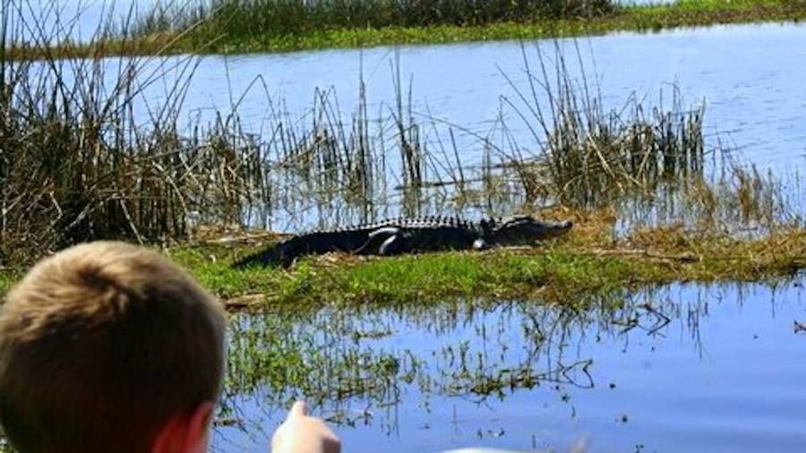Airboat Ride with Transportation