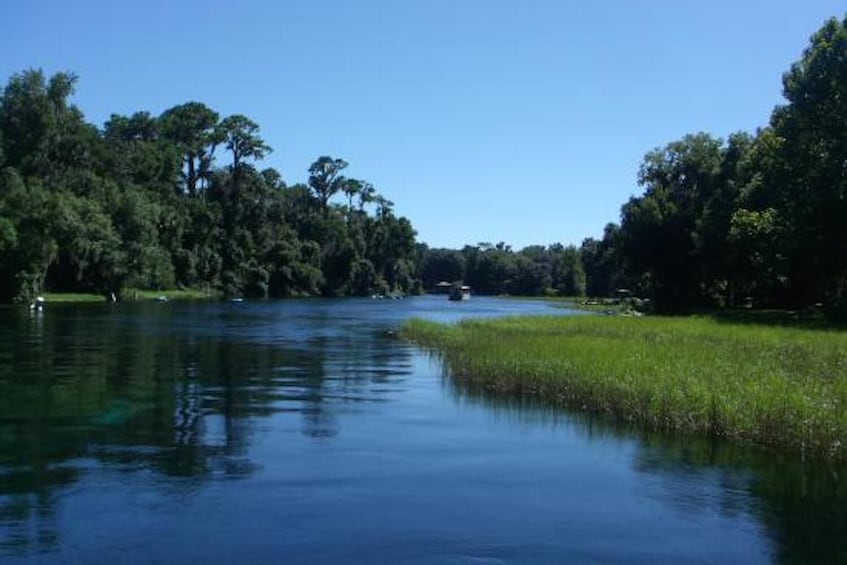 Manatee Snorkel Swim with Breakfast & Lunch