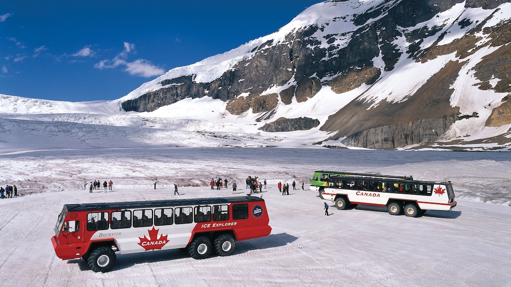 Arrive at the Columbia Icefields via off road tour buses