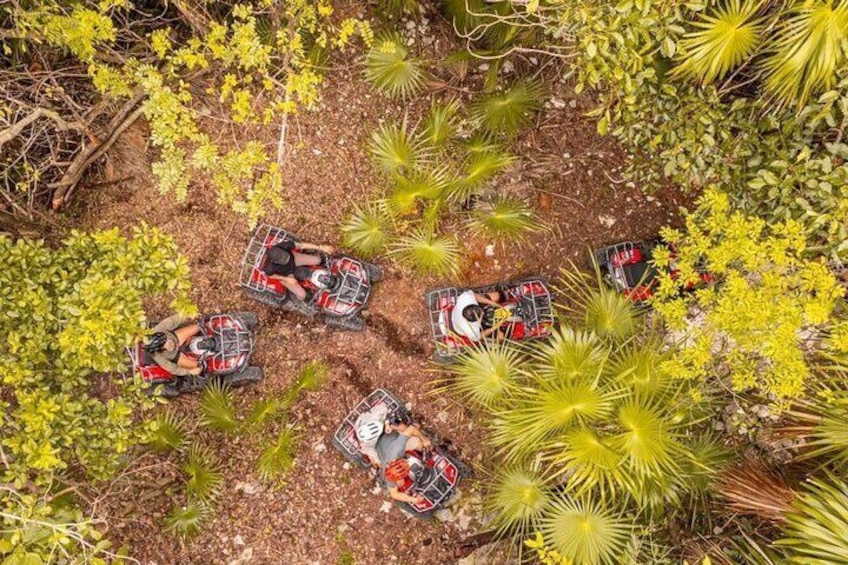Deep Jungle Adventure (ATV: additional activity)
