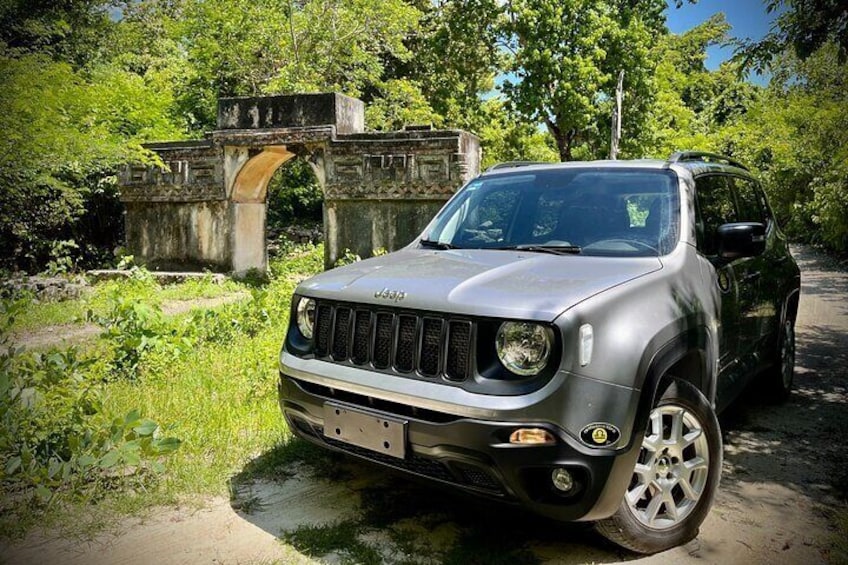 Deep Jungle Adventure