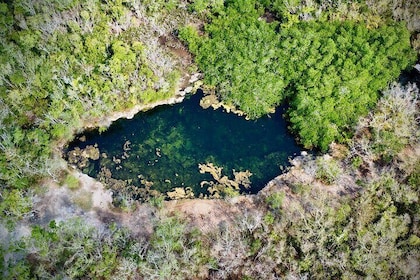 Cozumel: Discover Hidden Gems w/ Private guide