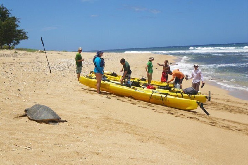  Kauai Sea Kayaking 10 mile tour - Na Pali Iki (Polihale to Milolii)