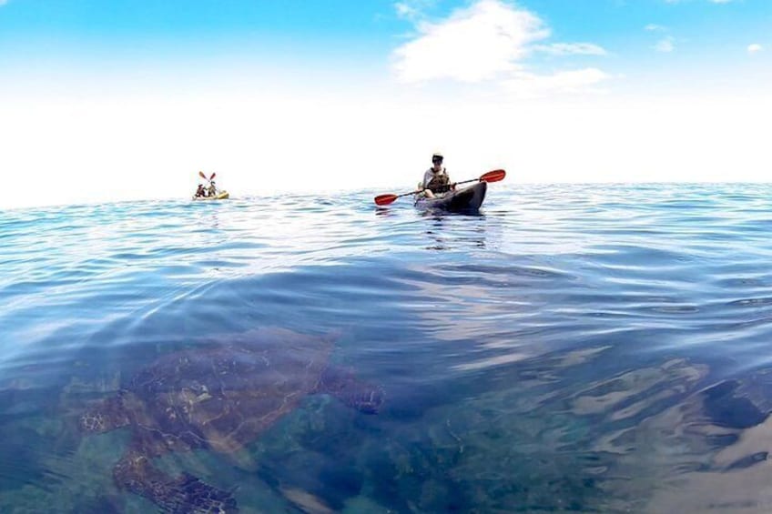 Paddling with turtles