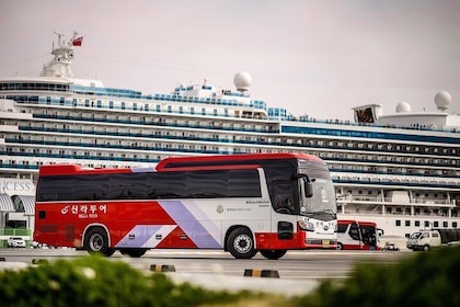 Busan Coach up to 40 pax + English Speaking Guide | Private Tour