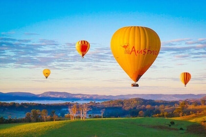 Gold Coast HotAir Balloon + Vineyard Breakfast + Transfers