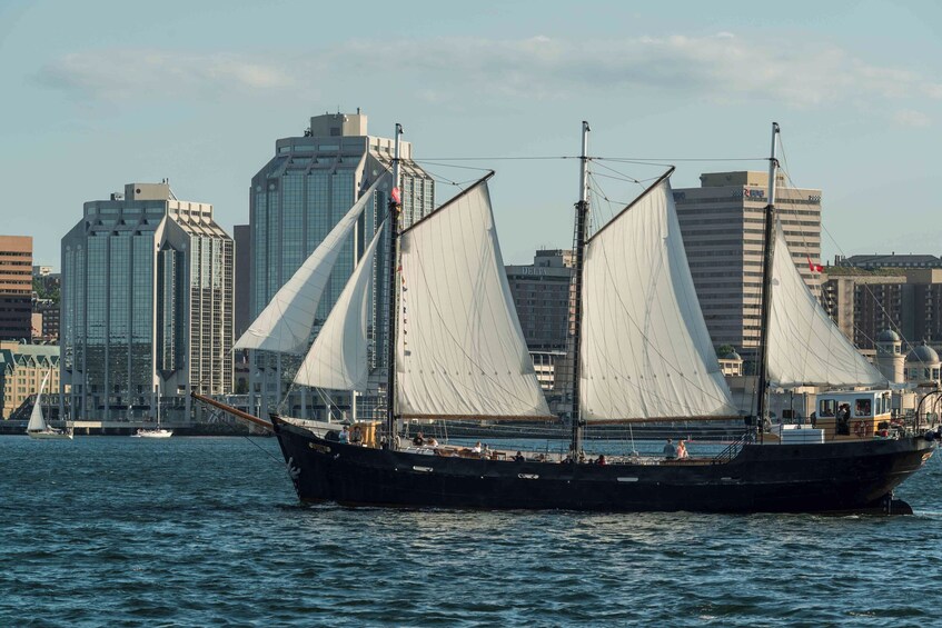 Tall Ship Silva Sailing Cruise