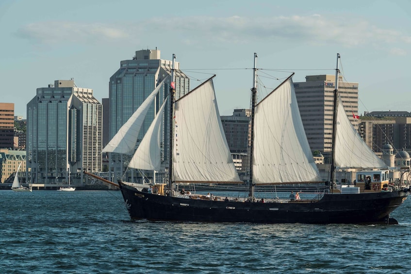Tall Ship Silva Sailing Cruise