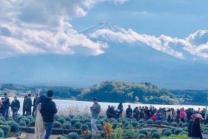 1 Day Tour Mt Fuji Lake Kawaguchiko English Speaking Driver Guide