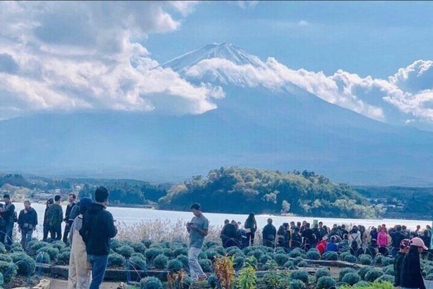 1 Day Tour Mt Fuji Lake Kawaguchiko English Speaking Driver Guide