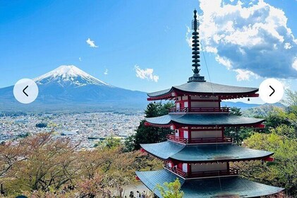 Mt Fuji tour Private car 1-9 Person English speaking driver