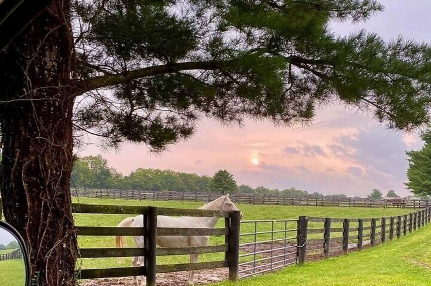 Beautiful Central Kentucky Sunset
