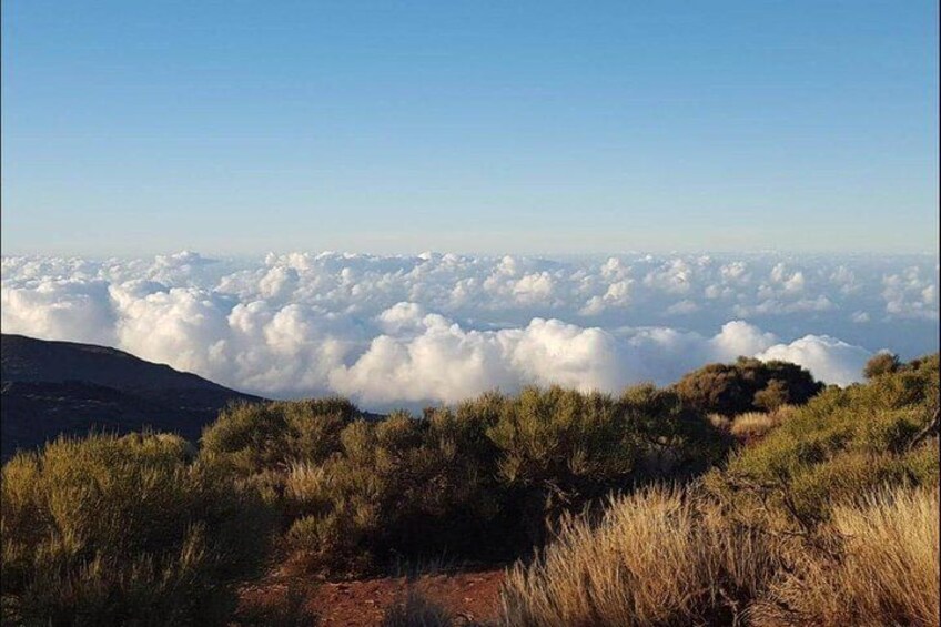 Private Shore Excursion in Tenerife from your Cruise Ship