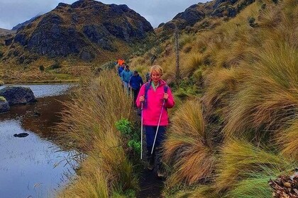 Cajas National Park and Cuenca City private Tour