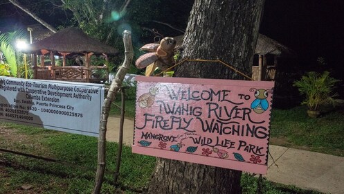 Puerto Princesa Firefly Tour
