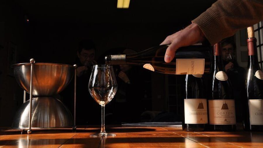 Full Day Private Tour 10 Premiers & Grands Crus, The Best of Burgundy