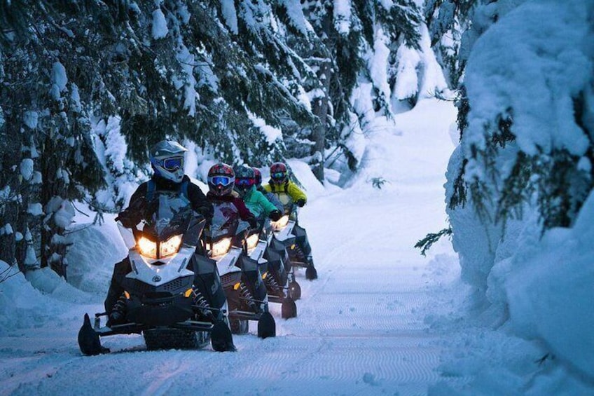 Family Snowmobile Tours with The Adventure Group