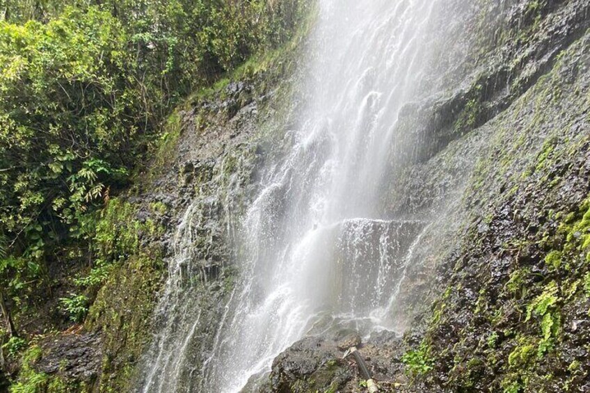 Waterfall and Rainforest Adventure