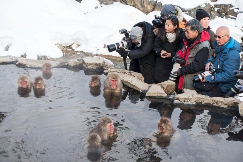 Nagano Private Two Day Tour