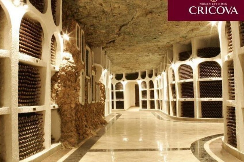 Day Tour to CRICOVA Winery with tasting from Chisinau