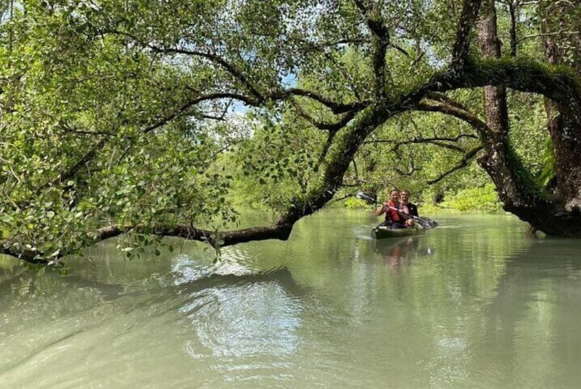 Langkawi Mangrove Kayaking Adventure With Nature Explorer