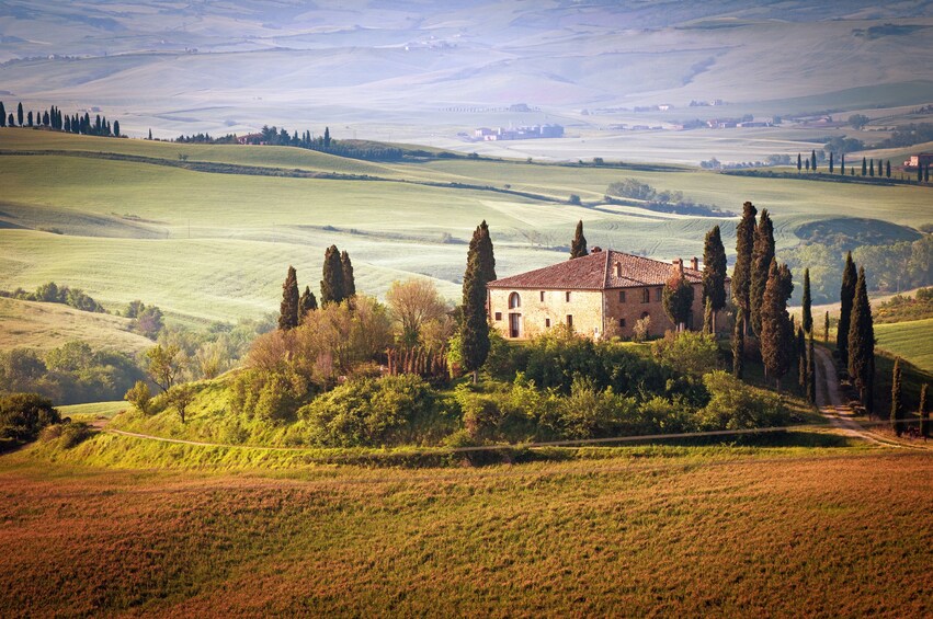 Private Chianti Tour with wine tasting in a Historic Estate