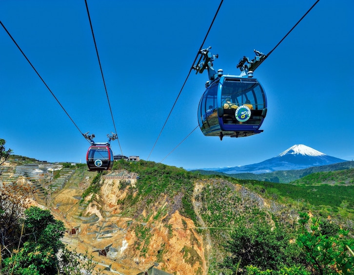 Mt Fuji and Hakone 1-Day Tour Return by Bullet Train