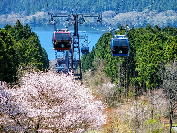 Mt Fuji and Hakone 1-Day Tour Return by Bullet Train