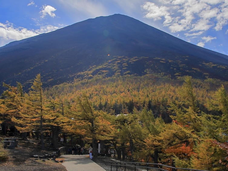 Mt Fuji and Hakone 1-Day Tour Return by Bullet Train