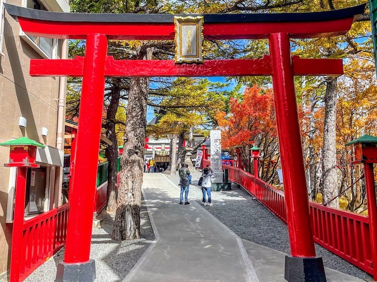 Mt Fuji and Hakone 1-Day Tour Return by Bullet Train