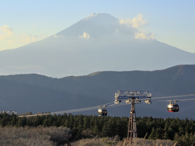 Mt Fuji and Hakone 1-Day Tour Return by Bullet Train