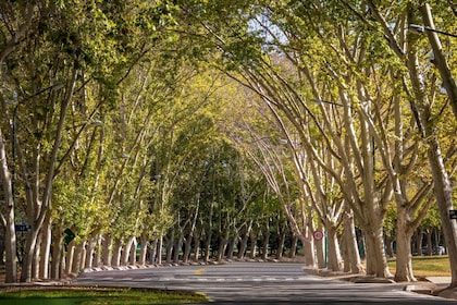 Visite de la ville et du parc General San Martín