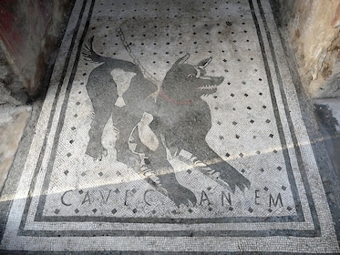 Pompeii admission ticket: reserved entrance with Audioguide