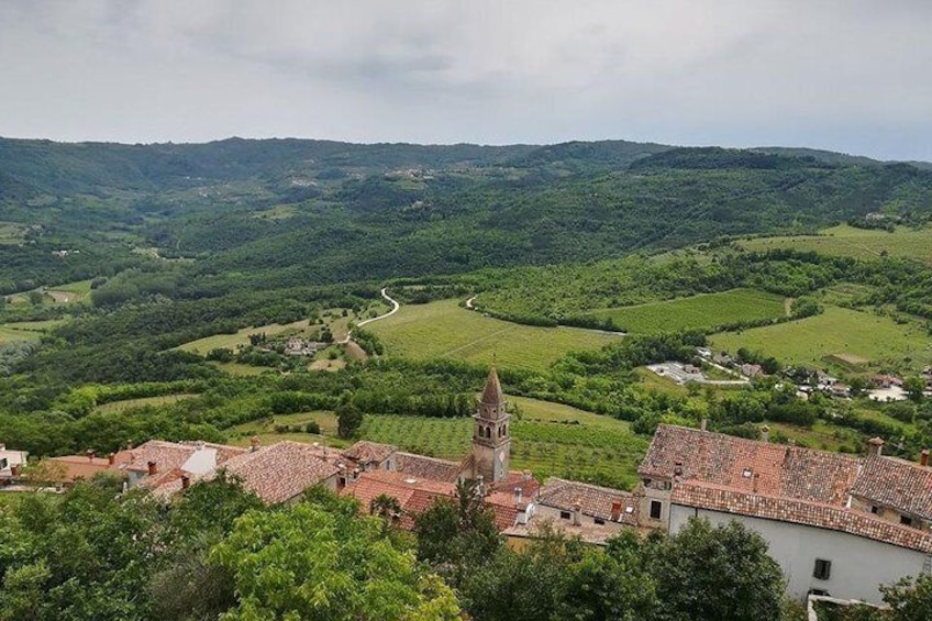 Full day tour of Istria with truffle tasting