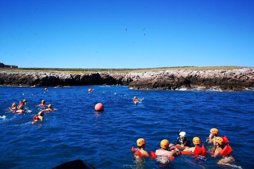 Marietas Islands Snorkel & Hidden Beach