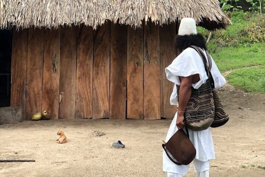 Unearth Indigenous Wisdom and Hike through Lush Rainforest