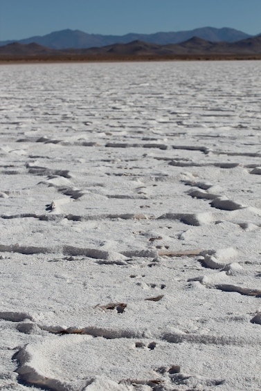 Salinas Grandes Salt Fields Discovery Tour