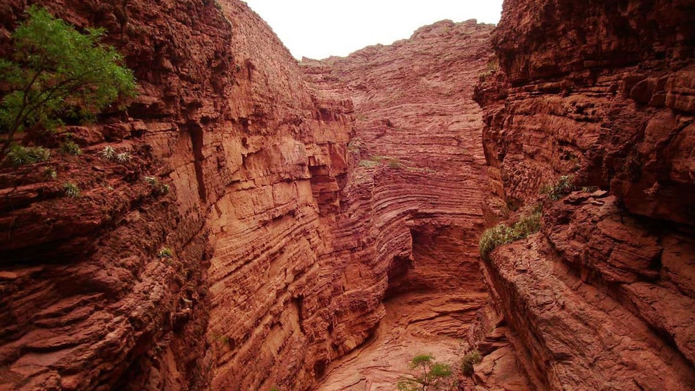 Layers of rock form the red cliffs of the Calchaquí Valley in Argentina