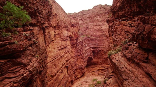 Die Calchaqui Valley Winery and Scenery Tour in Cafayate