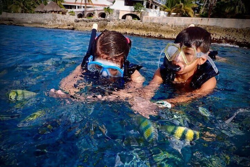 Cozumel: Shore Snorkel Hop + Island Tour