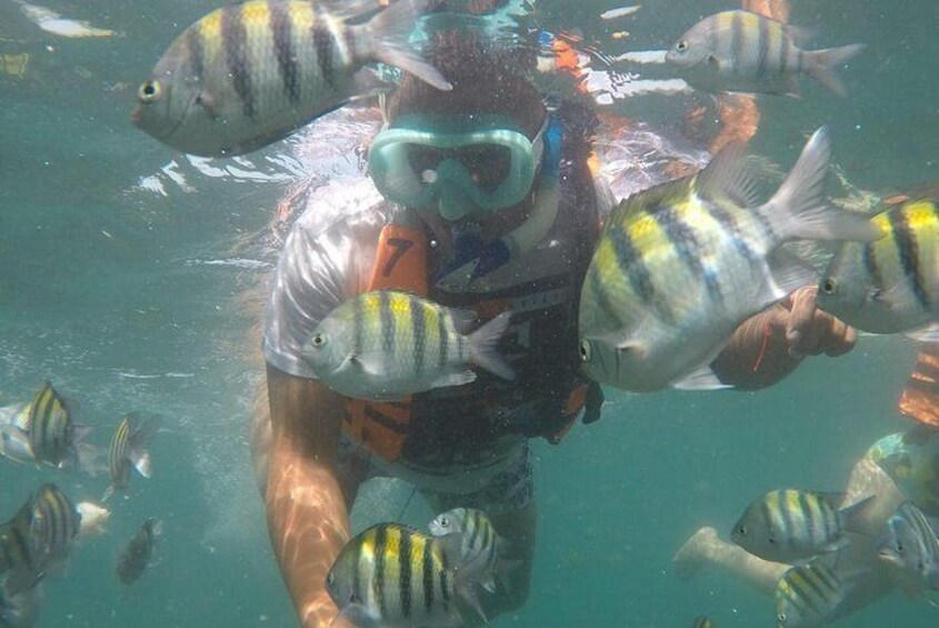 Taganga snorkeling experience