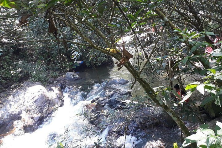 Discover Minca