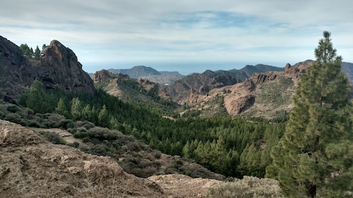 Tour guidato e scoperta di Gran Canaria