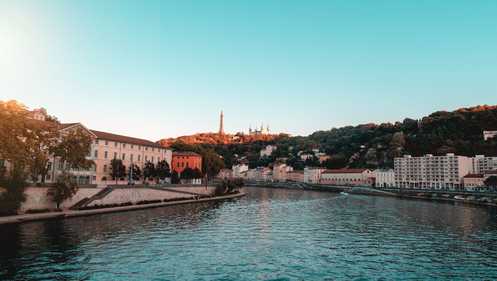 Show item 1 of 7. Discover Lyon in 60 Minutes with a Local