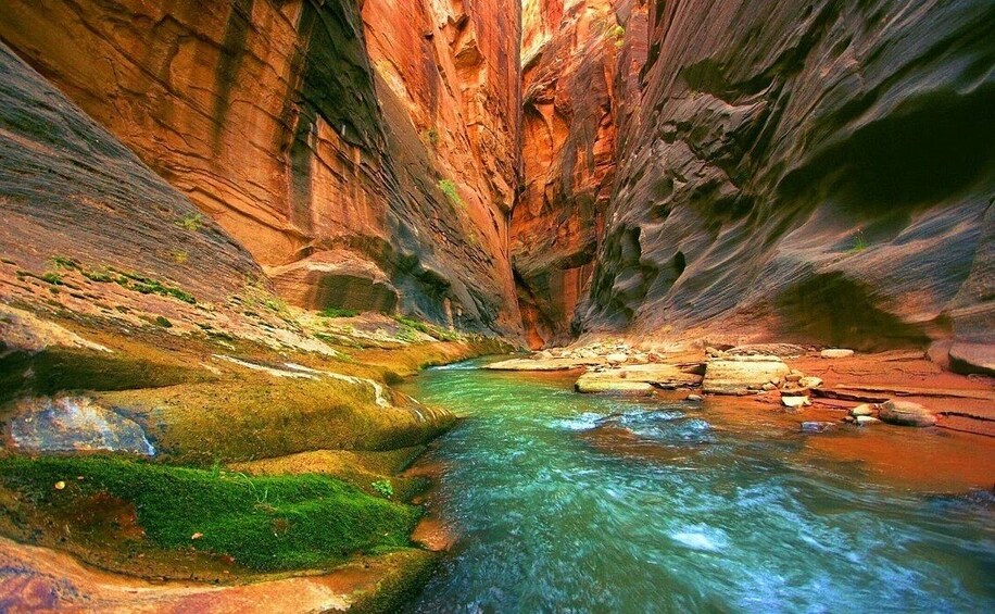 Show item 1 of 3. Colored Canyon and Blue Hole unique day-trip