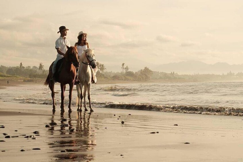 Bali Horse Riding In seminyak beach