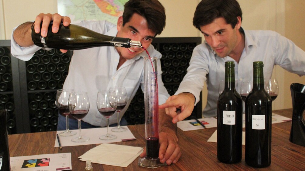 Charger l’élément 1 sur 5. Two people examining different red wines at Saint-Émilion Vineyard