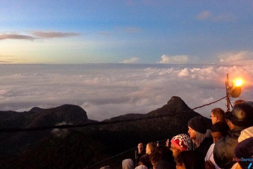 Trekking Adams Peak Safari & Night Life at Adams peak